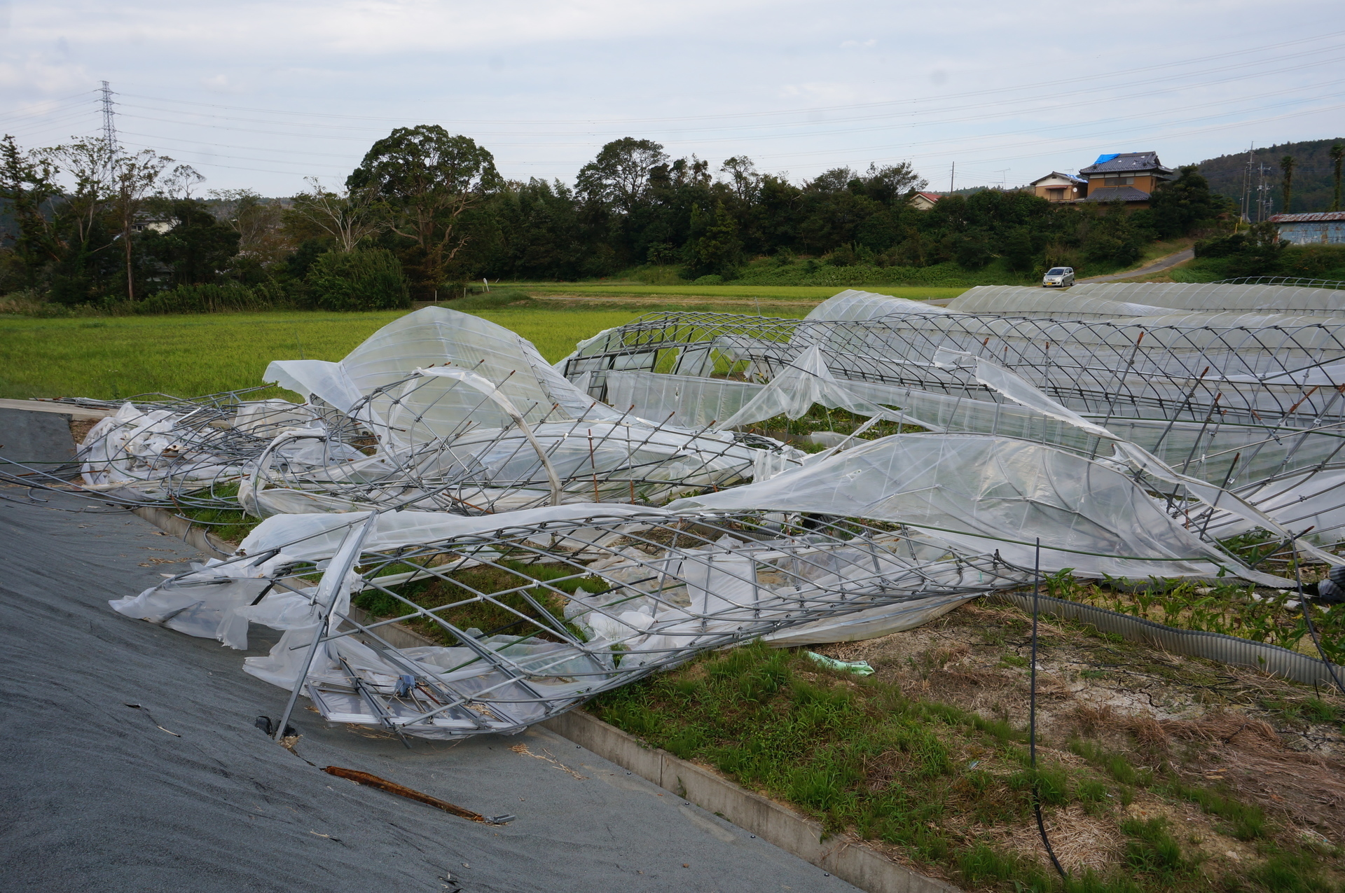 台風15号でビニールハウスが大分壊れていた Ogu S Blog かずさ便り ちょっとだけpcの話も