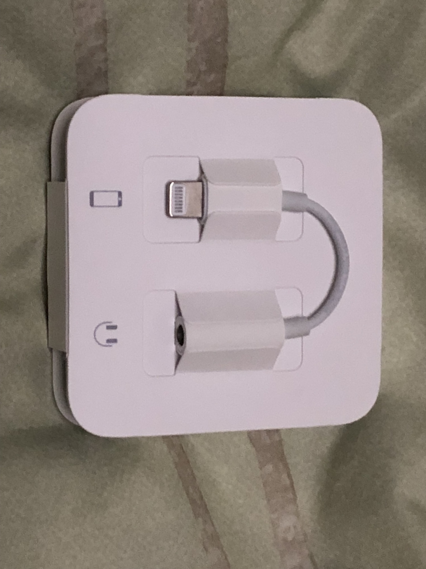 Iphone 8 Plus のイヤホンは ライトニングコネクターに接続をする Ogu S Blog かずさ便り ちょっとだけpcの話も