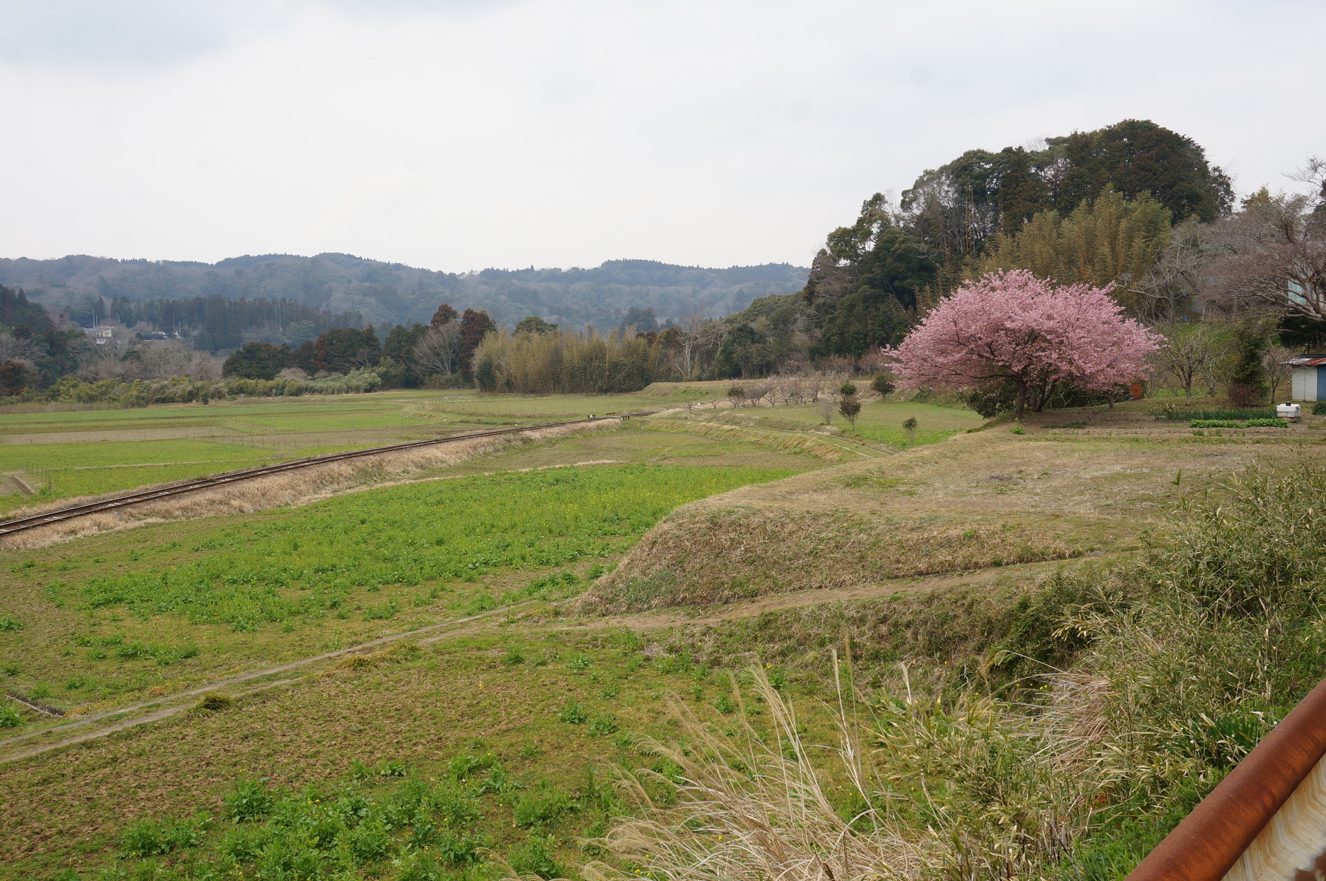 今年も養老渓谷の石神に行ってきた Ogu S Blog かずさ便り ちょっとだけpcの話も